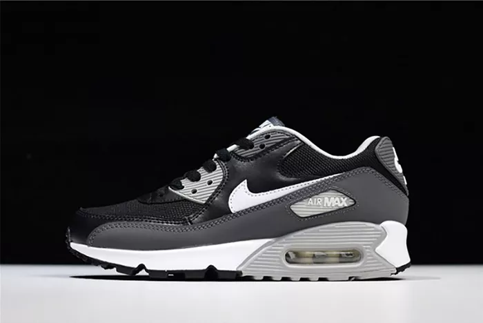 Air Max 90 Essential - Nike - 537384-032