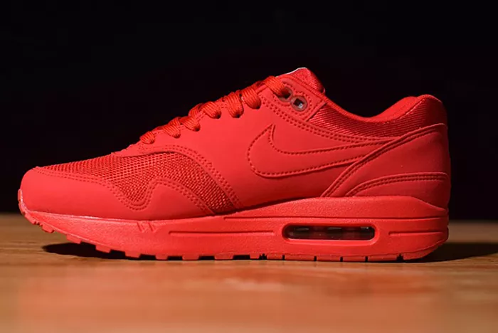 Air Max 1 Tonal Red Blue 875844-600