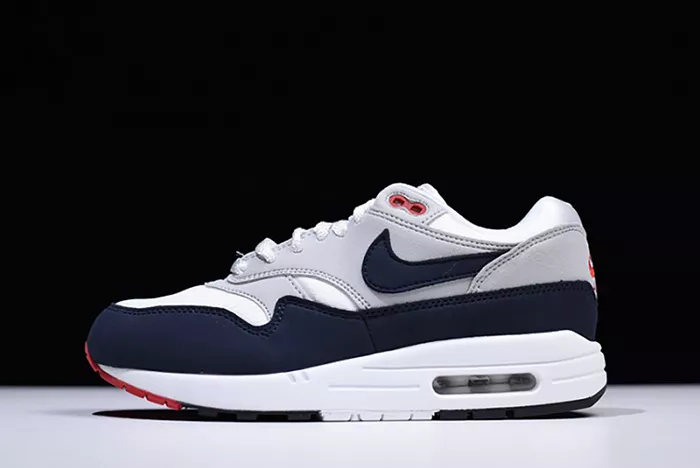 Nike Air Max 1 Anniversary - Nike - 908375-104