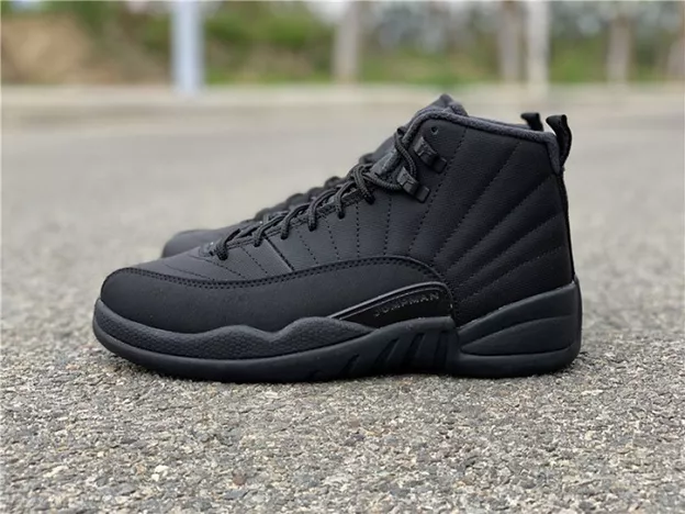 Air Jordan 12 Winterized Black Anthracite BQ6851-001