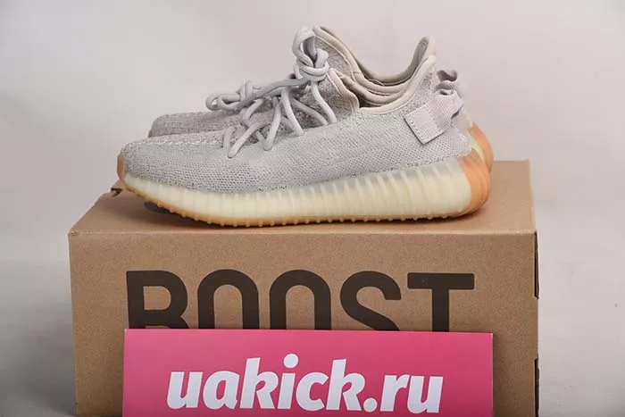 Adidas Yeezy Boost 350 V2 F99710