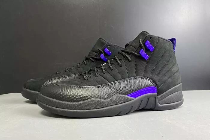 Air Jordan 12 “Dark Concord” CT8013-005