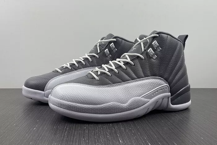 Air Jordan 12 STEALTH CT8025-610