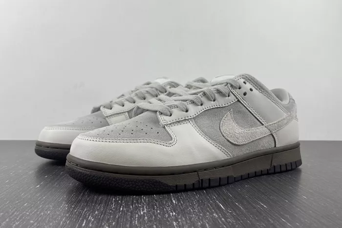 Nike Dunk Low Ironstone  FD9746-001