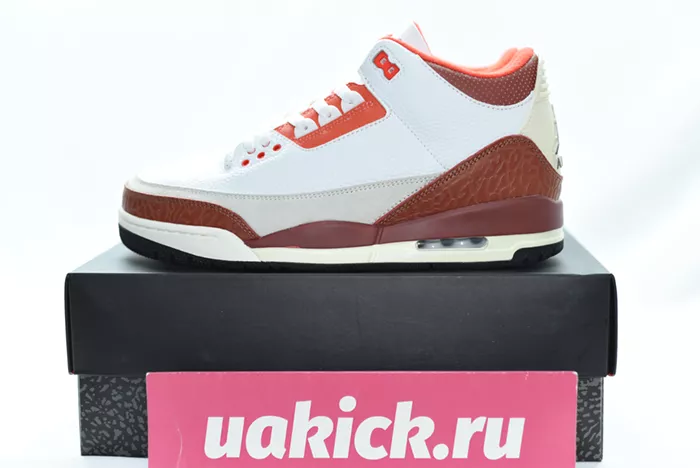 Jordan 3 Retro SE Dunk on Mars DV7028-108