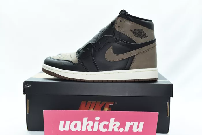 Air Jordan 1 High OG “Palomino” DZ5485-020