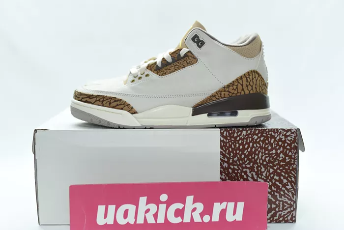 Air Jordan 3 “Palomino” CT8532-102