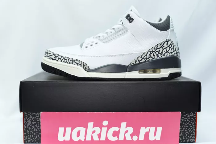 Jordan 3 Retro Hide N' Sneak  DX6665-100