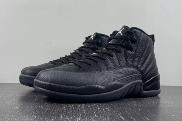 Air Jordan 12 “Black/Wolf Grey” CT8013-019