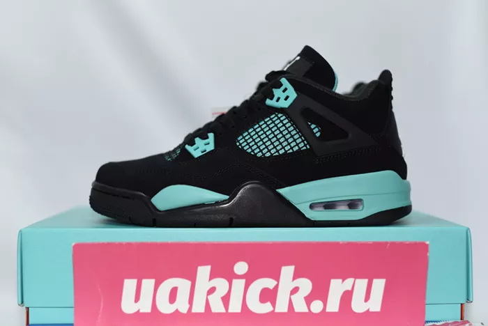 Air Jordan 4 BQ7669-132